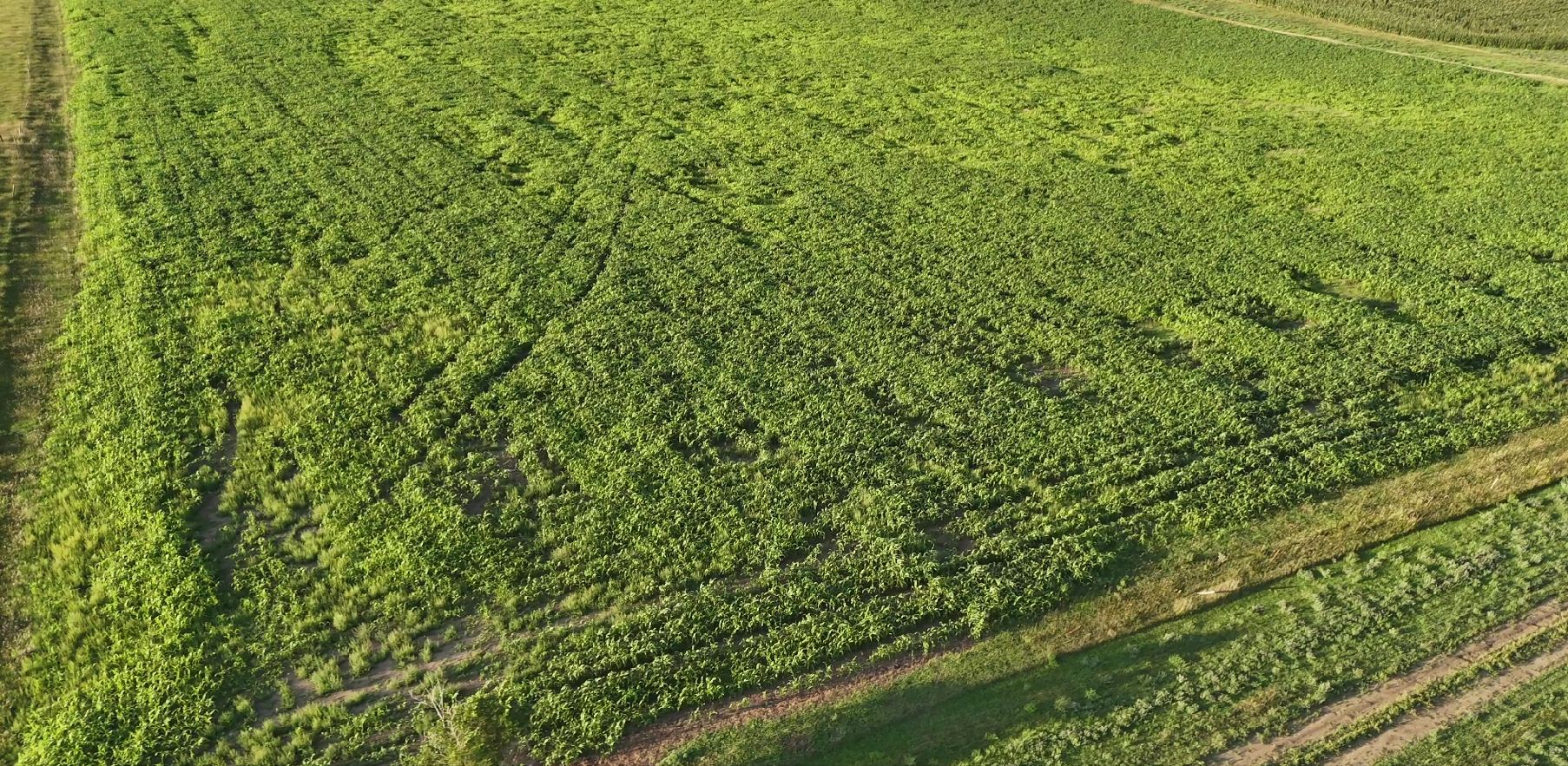 160± Acres of Central South Dakota Land – Offered Live Onsite & Online — Auction in Burke, SD thumbnail 7