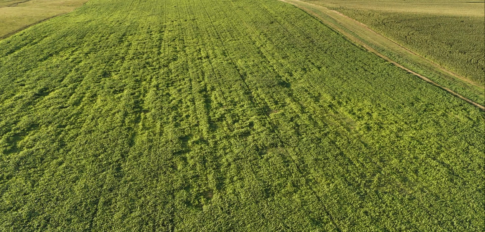 160± Acres of Central South Dakota Land – Offered Live Onsite & Online — Auction in Burke, SD thumbnail 8