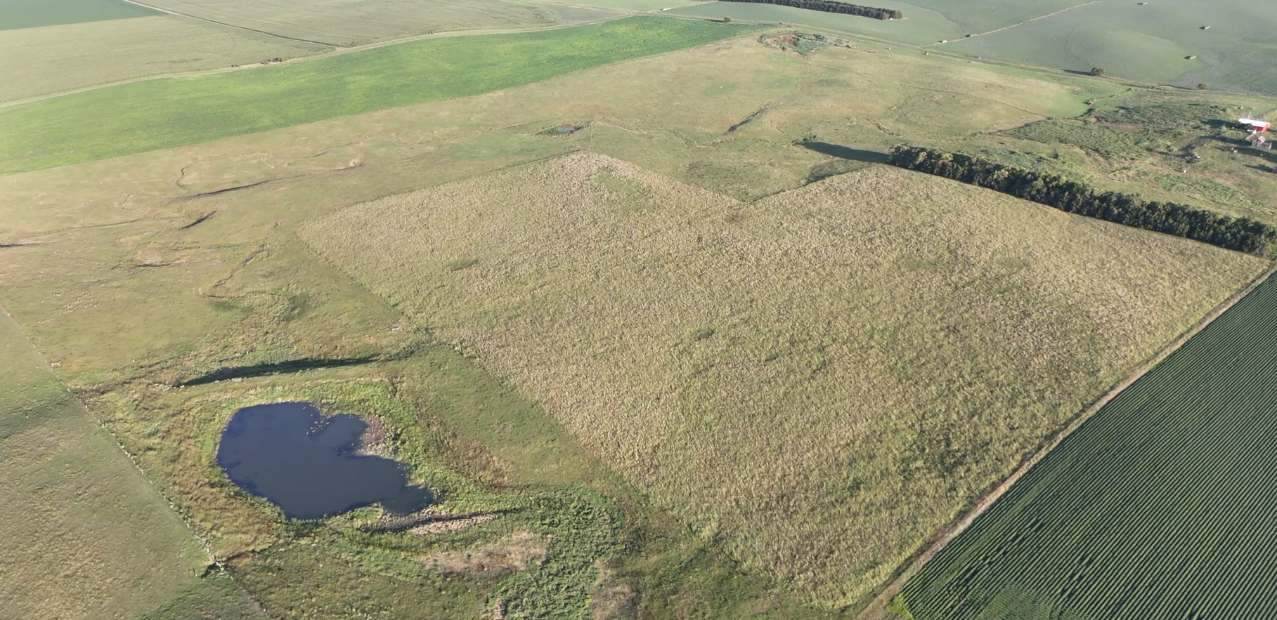 160± Acres of Central South Dakota Land – Offered Live Onsite & Online — Auction in Burke, SD thumbnail 9