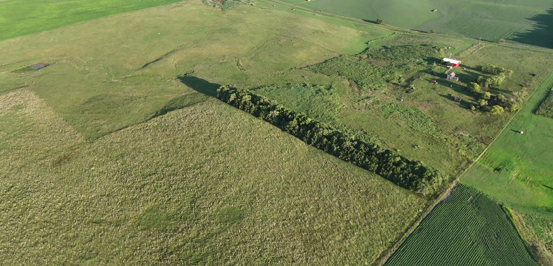 160± Acres of Central South Dakota Land – Offered Live Onsite & Online — Auction in Burke, SD thumbnail 10