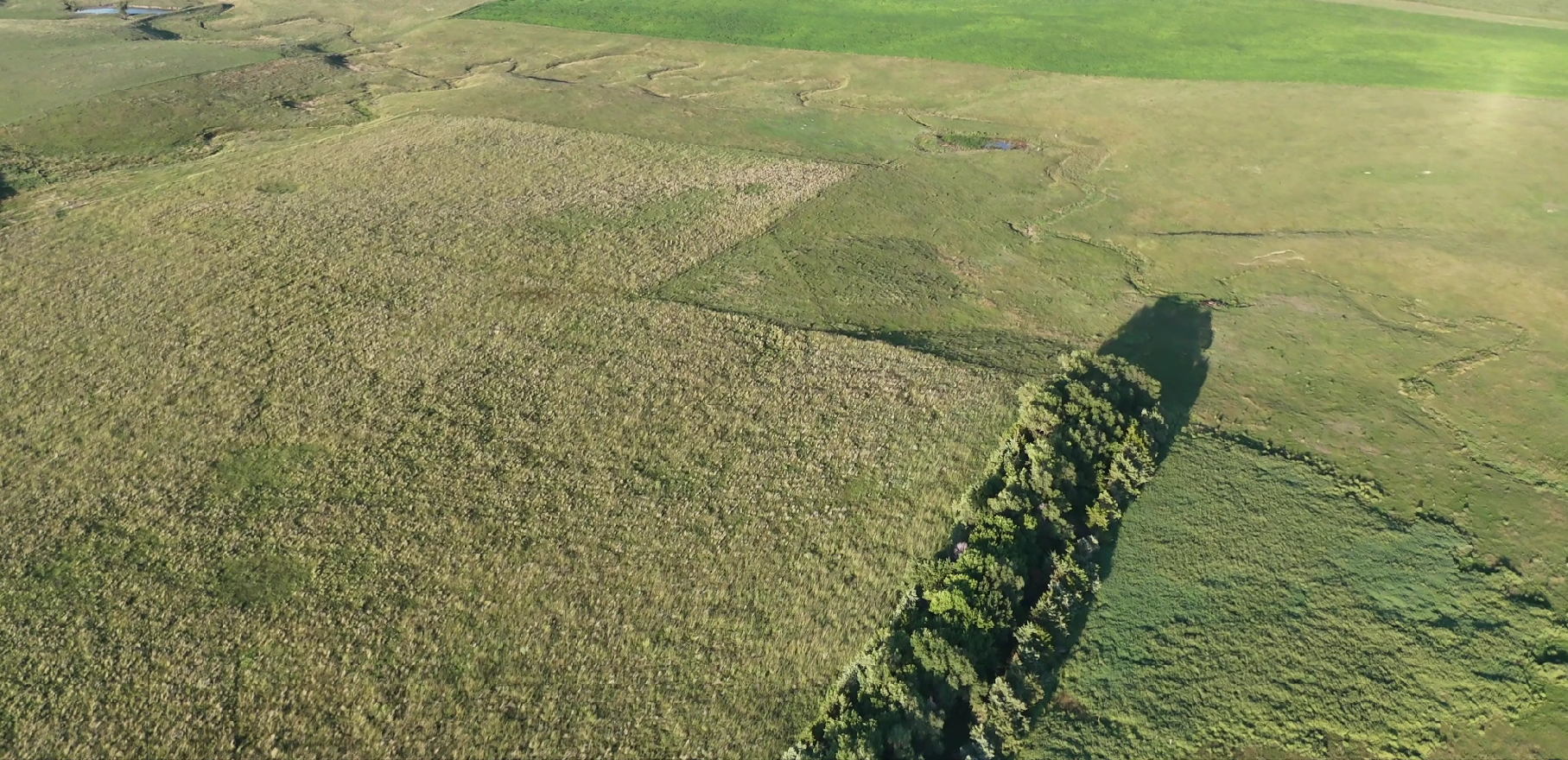 160± Acres of Central South Dakota Land – Offered Live Onsite & Online — Auction in Burke, SD thumbnail 11