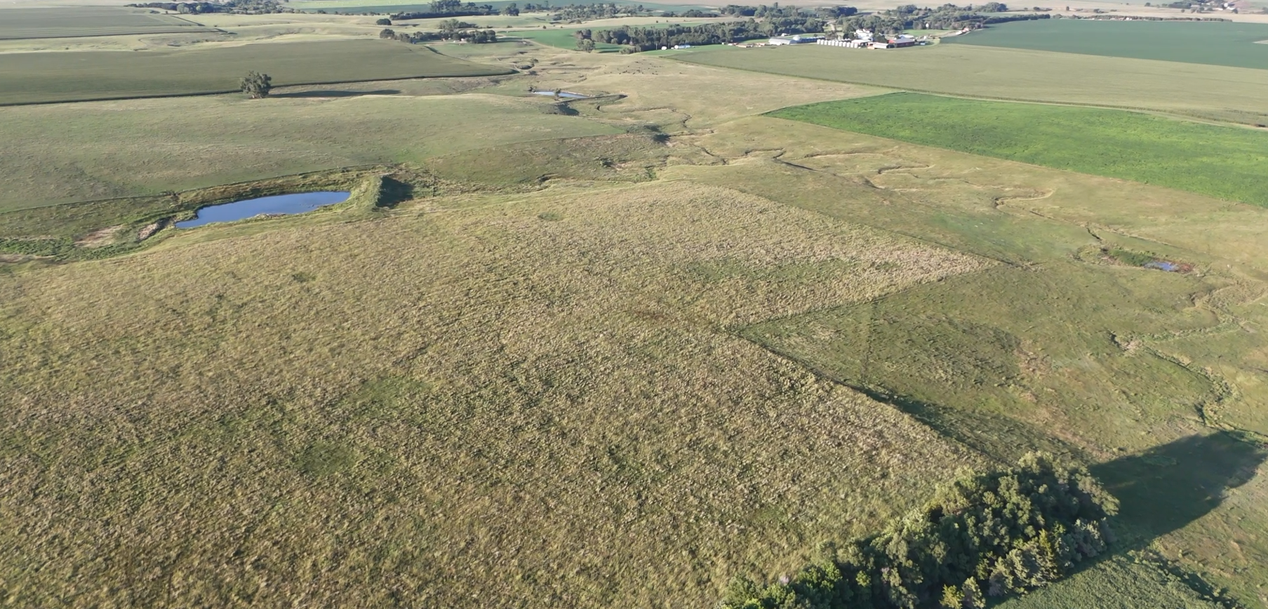 160± Acres of Central South Dakota Land – Offered Live Onsite & Online — Auction in Burke, SD thumbnail 12