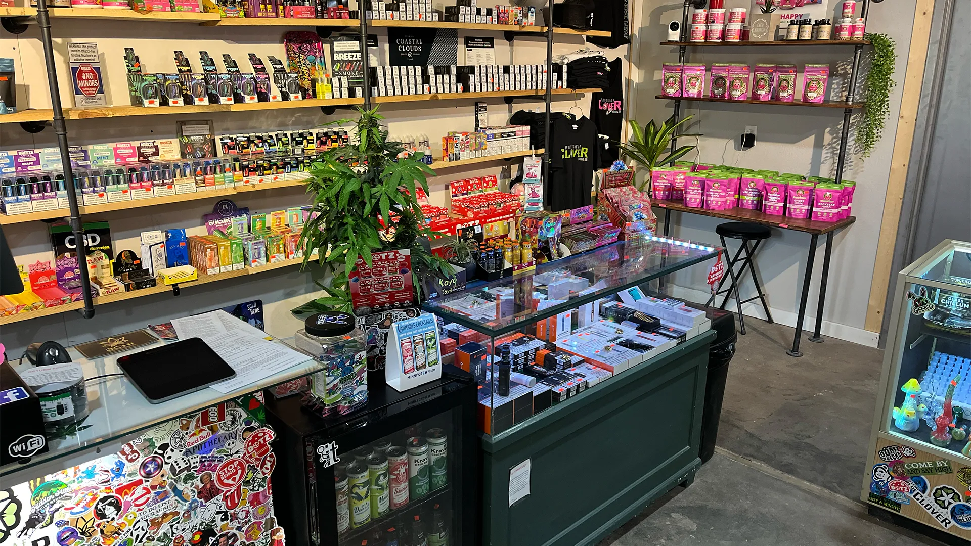 FIVE LEAF CLOVER SMOKE SHOP — Colome, SD real estate photo thumbnail 6
