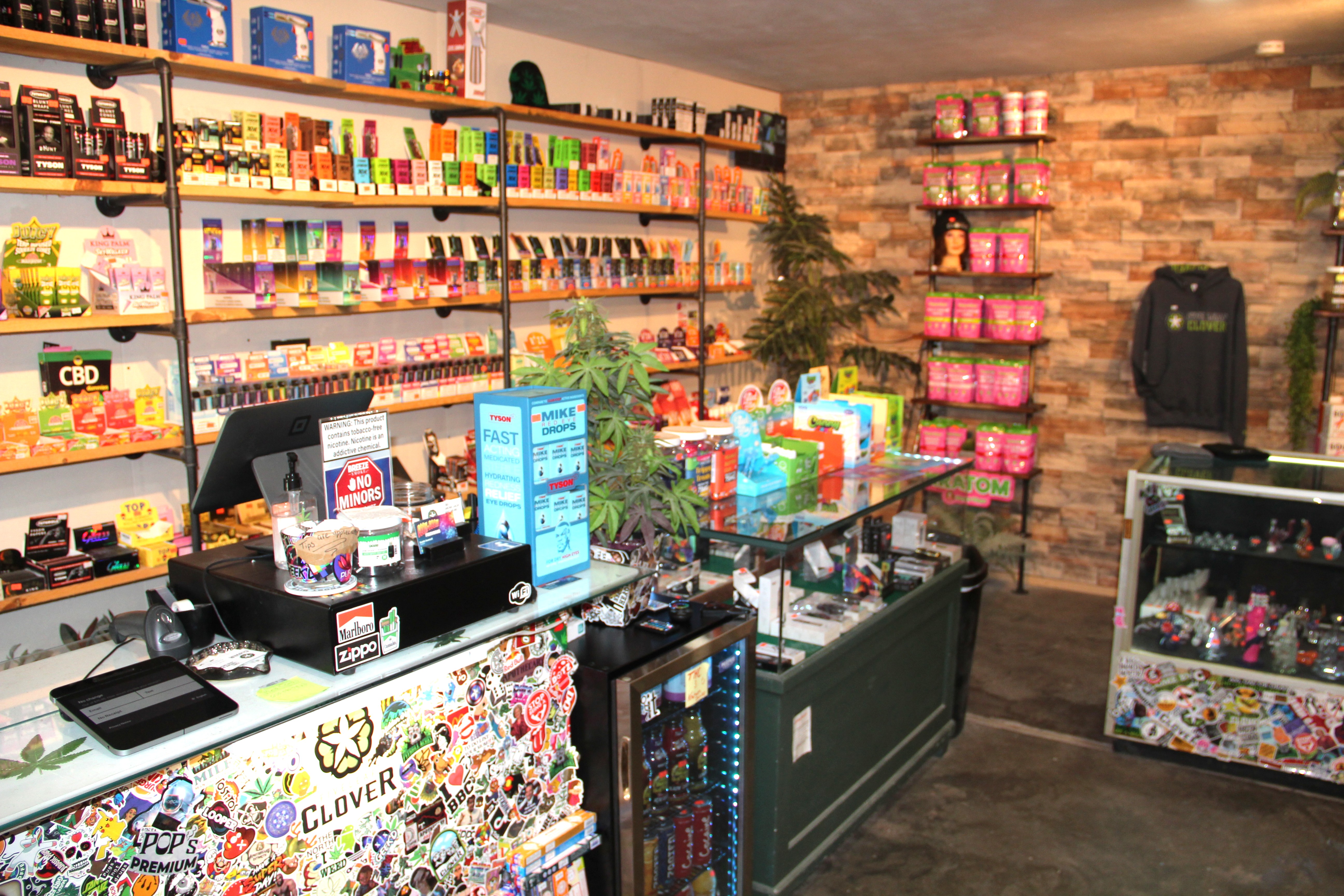 FIVE LEAF CLOVER SMOKE SHOP — Colome, SD real estate photo thumbnail 5
