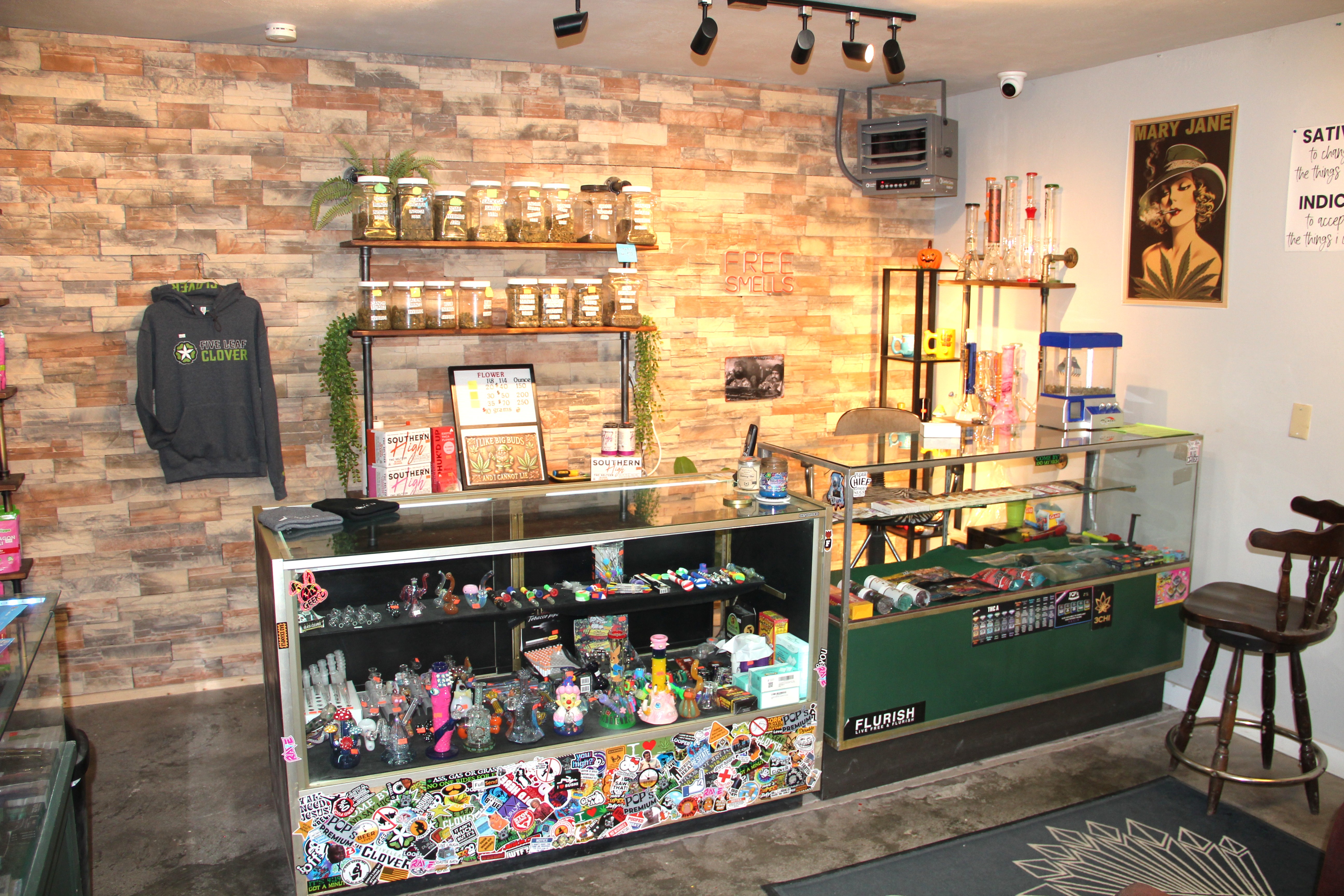 FIVE LEAF CLOVER SMOKE SHOP — Colome, SD real estate photo thumbnail 4